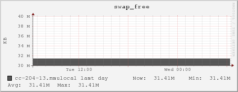 cc-204-13.msulocal swap_free