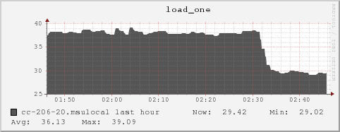 cc-206-20.msulocal load_one