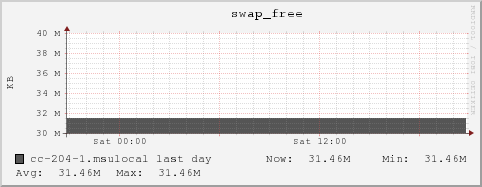 cc-204-1.msulocal swap_free