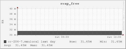 cc-204-7.msulocal swap_free