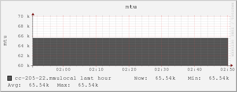 cc-205-22.msulocal mtu