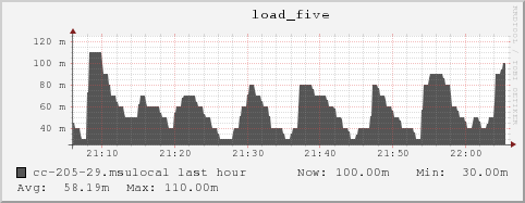 cc-205-29.msulocal load_five