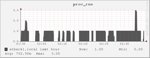 atback1.local proc_run