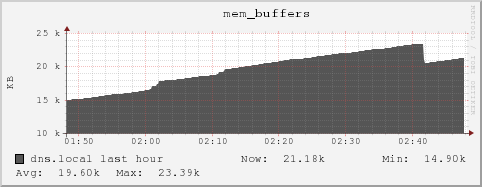 dns.local mem_buffers