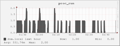 dns.local proc_run